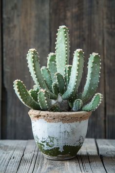 a small potted cactus sitting on top of a wooden table next to a wall