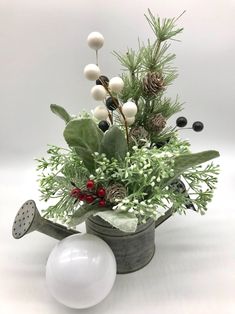 a potted plant with pine cones and berries in it next to a watering can