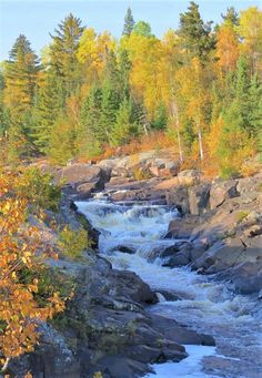 a river running through a forest filled with lots of trees covered in fall foliage and rocks