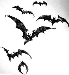 black and white photograph of bats flying in the sky