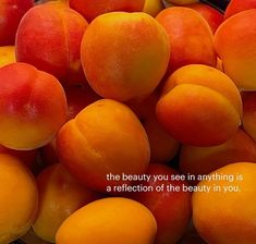 a pile of ripe apricots with a quote about beauty