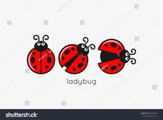 three ladybugs with the word ladybug written in black on a white background