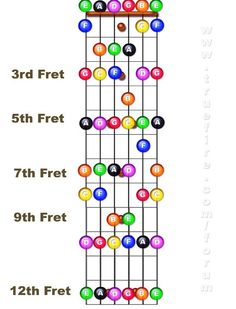 the guitar frets are arranged in different colors and sizes, with numbers on them