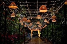 a walkway covered in lots of lights next to trees