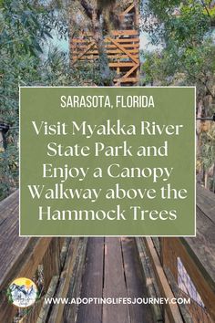 a sign that says visit myakka river state park and enjoy a canopy walk above the hammock trees