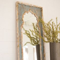 an old mirror and vase with plants in it