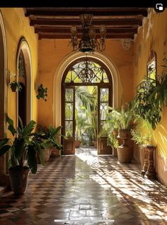 a hallway with potted plants and large windows