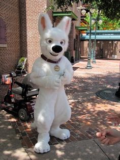 a person standing next to a white dog mascot on a sidewalk in front of a building