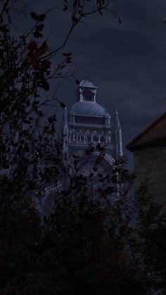 a large building with a clock on it's face and trees in the foreground