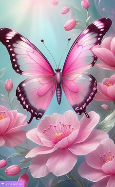 a butterfly flying over pink flowers on a blue background