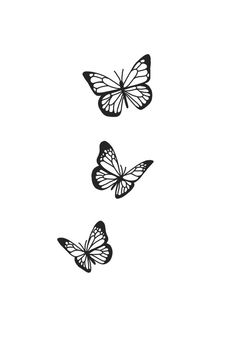 three butterflies flying in the air on a white background, one is drawn with black ink