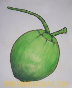 a drawing of a green apple on a white background