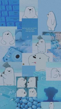 polar bear collage with blue and white background