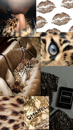 a collage of photos with leopard print and chanel logo on them, including an animal - print jacket