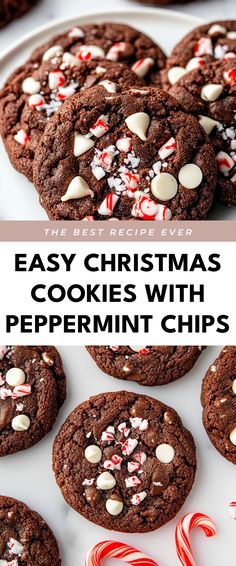 Image for Easy Christmas Cookies with Peppermint Chips Easy Chocolate Peppermint Cookies, Chocolate Peppermint Chip Cookies, Choc Peppermint Cookies, Cookies With Peppermint Chips, Chocolate Cookies With Peppermint Chips, Chocolate Peppermint Cookies Christmas, Peppermint Chip Recipes, Easy Peppermint Cookies, Fast Christmas Desserts