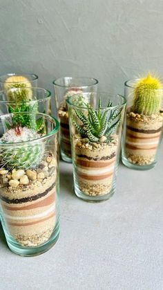 small glass vases filled with different types of plants