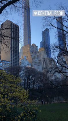 the city skyline from central park in new york, with skyscrapers rising above it