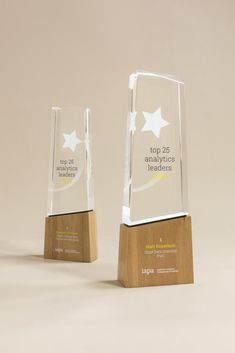 two clear glass awards on wooden bases with white stars and the words top of business leaders