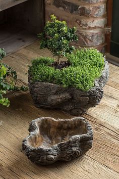 two bowls with plants in them sitting on a wooden table