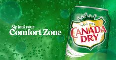 a can of canada dry beer on a green background with water droplets and the words, sip into your comfort zone