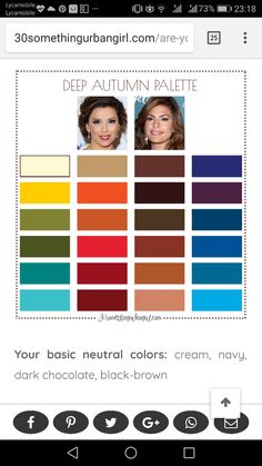 the color scheme for an iphone app, showing different colors and their corresponding palettes