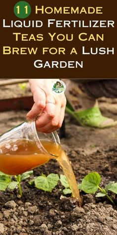 a person pouring liquid into a jar on top of dirt with green plants in the background