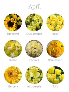 flowers are arranged in different colors and sizes