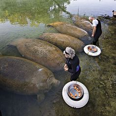 three people standing on the edge of a body of water with plates in front of them