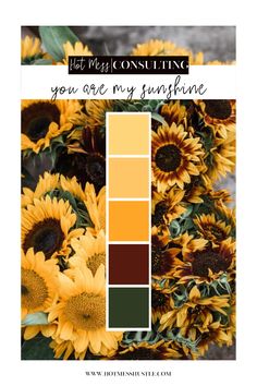 sunflowers with text that says, it's mykoniiing you are my sunshine