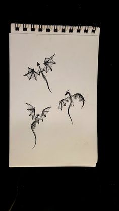 a drawing of three flying dragon's on a piece of paper with black ink