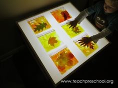 a young boy is looking at some colorful leaves on a white table with black background