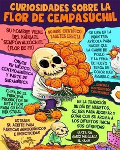 a poster with an image of a skeleton eating fried food and the words, curiosides sobre la for de cempasuch