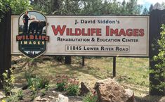 a sign for wildlife images in front of some trees