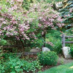 the garden is full of pink flowers and greenery, along with an old wooden fence