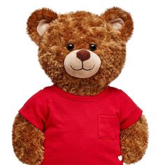 a brown teddy bear wearing a red shirt