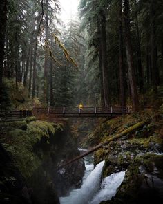 a person standing on a bridge over a river in the woods with trees and rocks