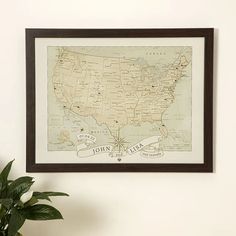 an old map hangs on the wall above a potted plant