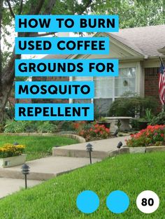 a lawn with flowers and bushes in front of a house that says how to burn used coffee grounds for mosquito repellent