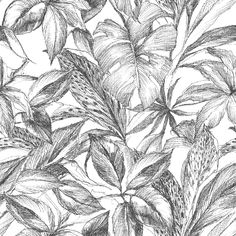 a black and white drawing of leaves