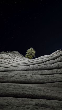 a lone tree is standing in the middle of an empty field at night with stars above