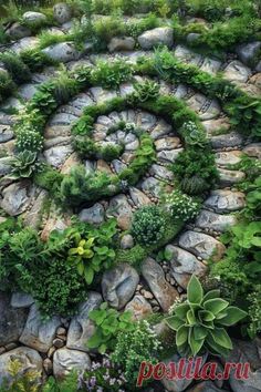 a rock garden with plants and rocks in the center, surrounded by green foliages