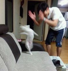 a man standing on top of a couch next to a dog