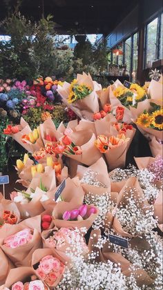 a bunch of flowers that are sitting in some kind of bag on the ground near each other