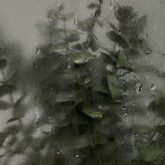 rain is falling down on the window and leaves