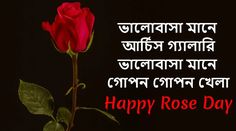 a red rose with the words happy rose day written in two languages, on a black background