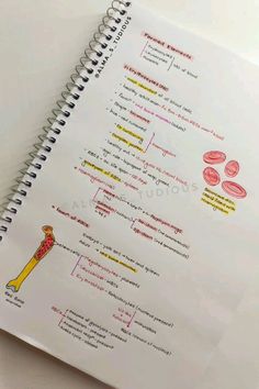 a spiral notebook with an illustrated diagram of the parts of a human body on it