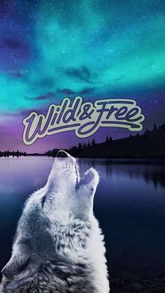 a wolf looking up at the sky and stars in the background, with the words wild & free above it