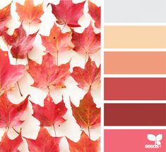 the color palette is red, orange and pink with some leaves on it in different colors