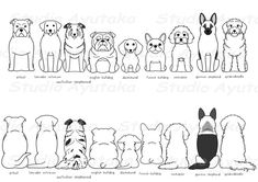 several dogs and cats are shown in black and white