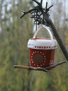 a red cup hanging from a tree branch with a bird feeder on it's side